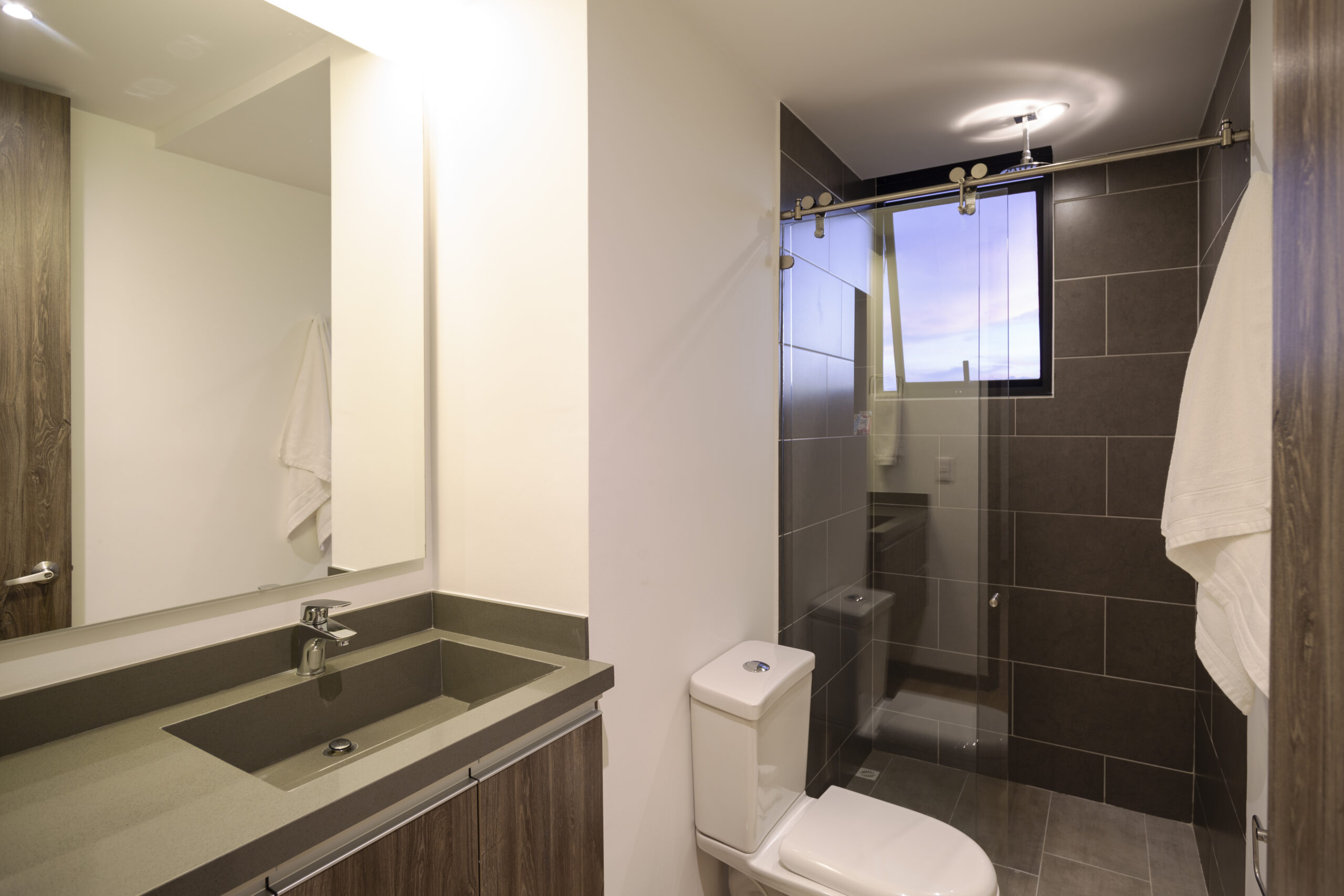 JAL0RENT_03A9189 copia