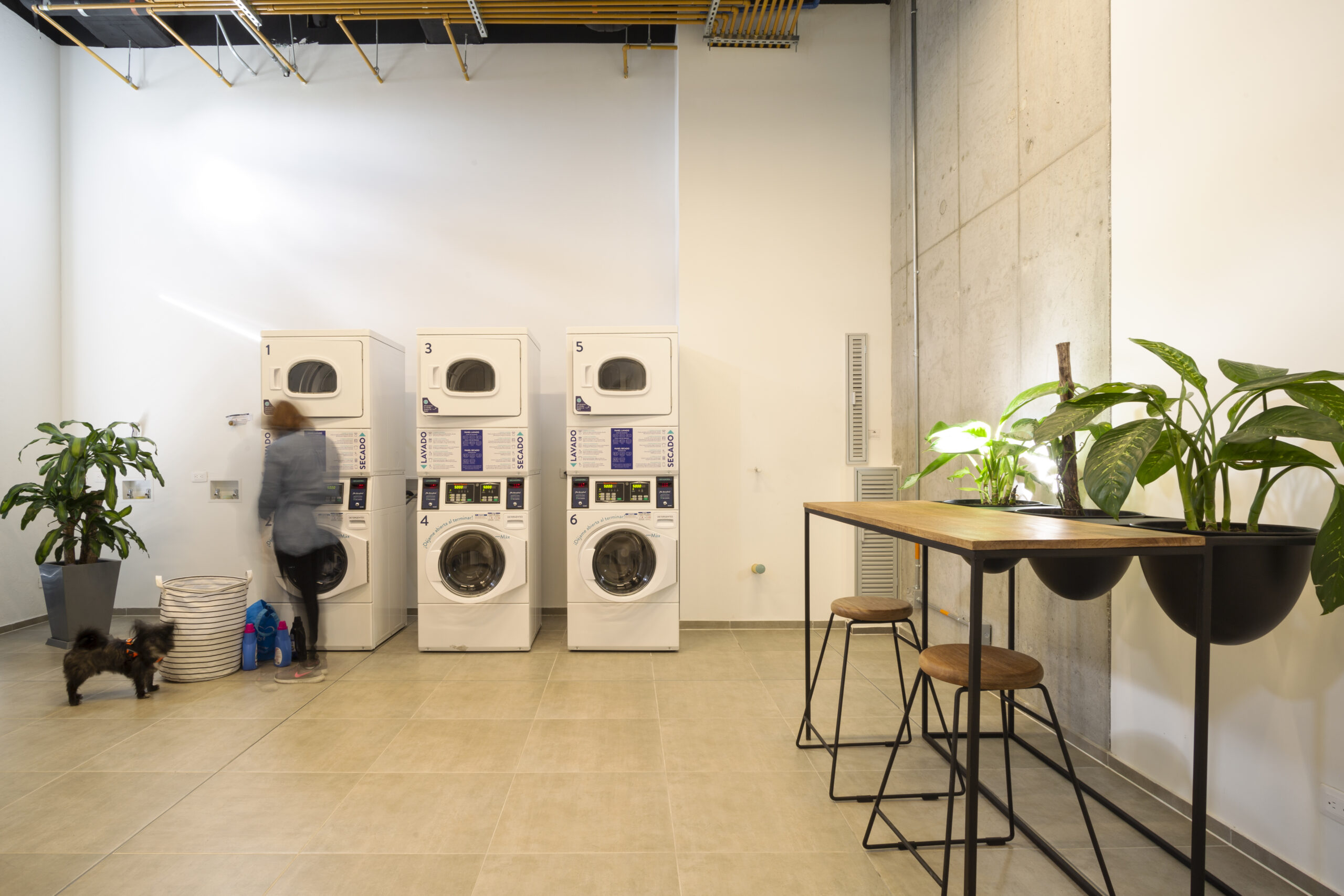 ZONA DE LAVANDERIA 1